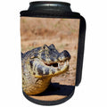 3dRose Danita Delimont - Reptiles - Brazil, Mato Grosso, The Pantanal, Rio Cuiaba, Black caiman. - Can Cooler Bottle Wrap (cc_258366)