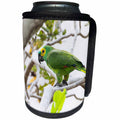 3dRose Danita Delimont - Parrots - Brazil, The Pantanal, turquoise-fronted amazon perched in a tree. - Can Cooler Bottle Wrap (cc_258375)