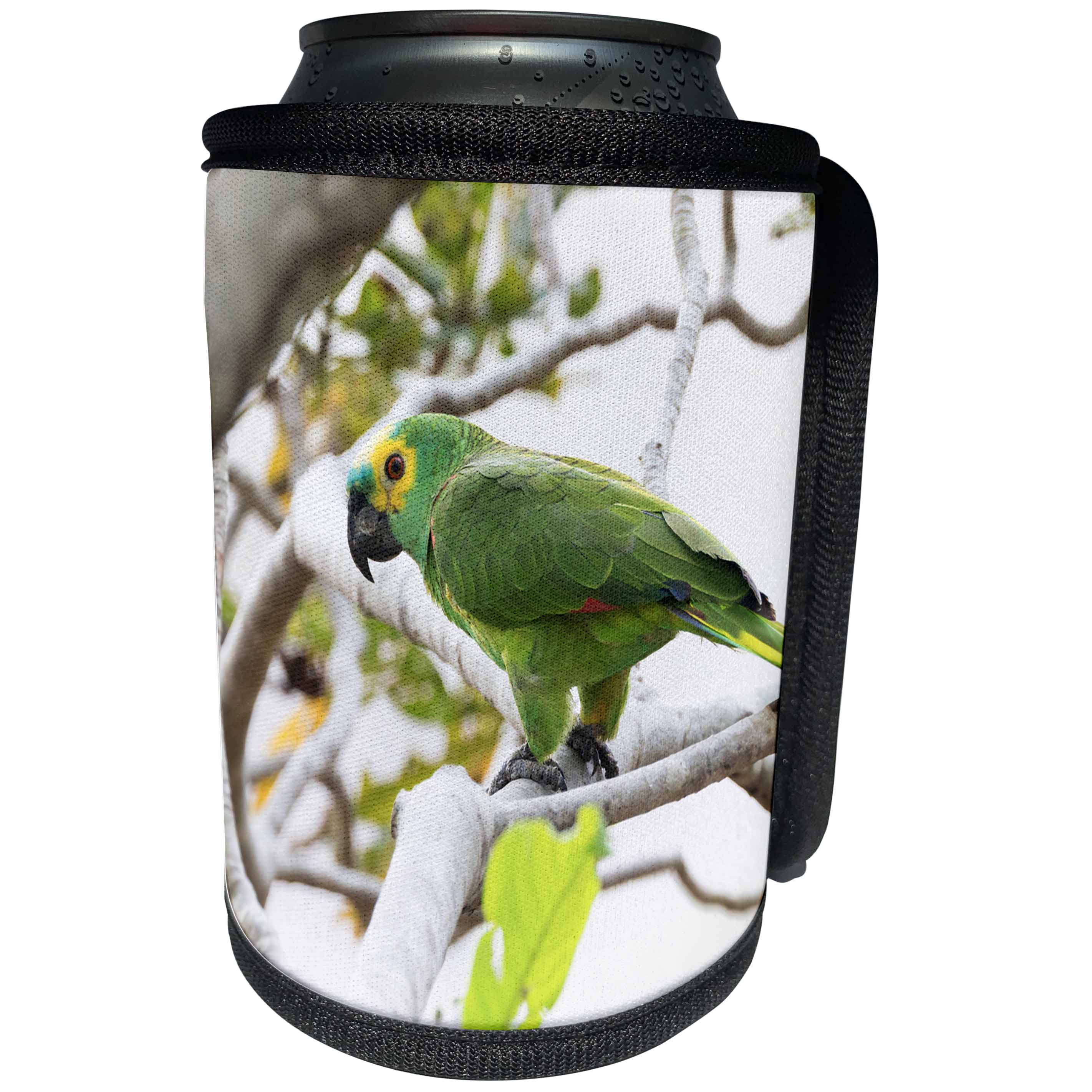 3dRose Danita Delimont - Parrots - Brazil, The Pantanal, turquoise-fronted amazon perched in a tree. - Can Cooler Bottle Wrap (cc_258375)