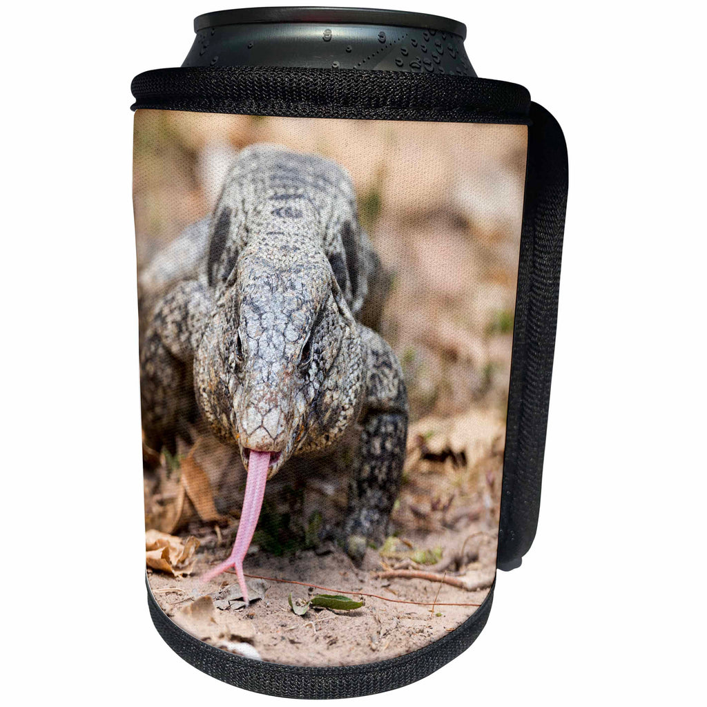 3dRose Danita Delimont - Reptiles - Brazil, Mato Grosso, The Pantanal, black tegu lizard tasting the air. - Can Cooler Bottle Wrap (cc_258376)