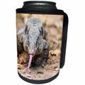 3dRose Danita Delimont - Reptiles - Brazil, Mato Grosso, The Pantanal, black tegu lizard tasting the air. - Can Cooler Bottle Wrap (cc_258376)