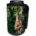 3dRose Danita Delimont - Primates - Brazil, Pantanal Wetland, Capuchin Monkey climbing in the jungle. - Can Cooler Bottle Wrap (cc_258381)