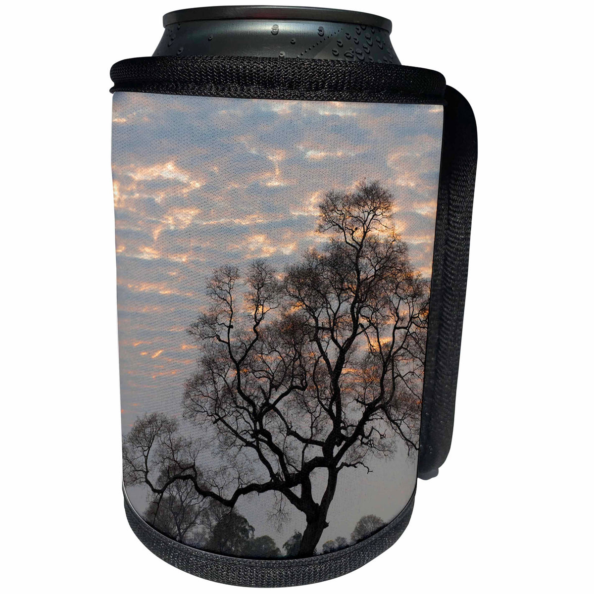 3dRose Danita Delimont - Trees - Brazil, Sunrise peeking through the clouds over the Pantanal Wetlands. - Can Cooler Bottle Wrap (cc_258382)