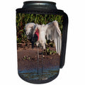 3dRose Danita Delimont - Birds - Jabiru stork with open wings in the Cuiaba River, Pantanal, Brazil - Can Cooler Bottle Wrap (cc_258384)