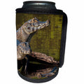 3dRose Danita Delimont - Reptiles - Brazil, Cuiaba River, Pantanal Wetlands, Three Yacare Caiman. - Can Cooler Bottle Wrap (cc_258385)