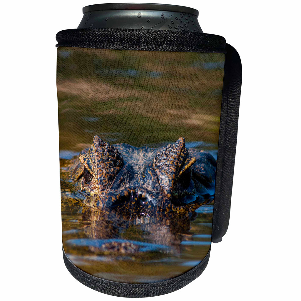 3dRose Danita Delimont - Reptiles - Brazil, Pantanal Wetlands, Yacare Caiman on the Cuiaba River - Can Cooler Bottle Wrap (cc_258386)
