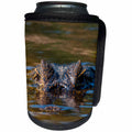3dRose Danita Delimont - Reptiles - Brazil, Pantanal Wetlands, Yacare Caiman on the Cuiaba River - Can Cooler Bottle Wrap (cc_258386)