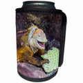 3dRose Danita Delimont - Reptiles - Ecuador, Galapagos, North Seymour, Land iguana eating cactus leaf. - Can Cooler Bottle Wrap (cc_258390)