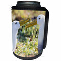 3dRose Danita Delimont - Birds - Ecuador, Galapagos, Espanola, Punta Suarez. Waven albatrosses pair. - Can Cooler Bottle Wrap (cc_258393)