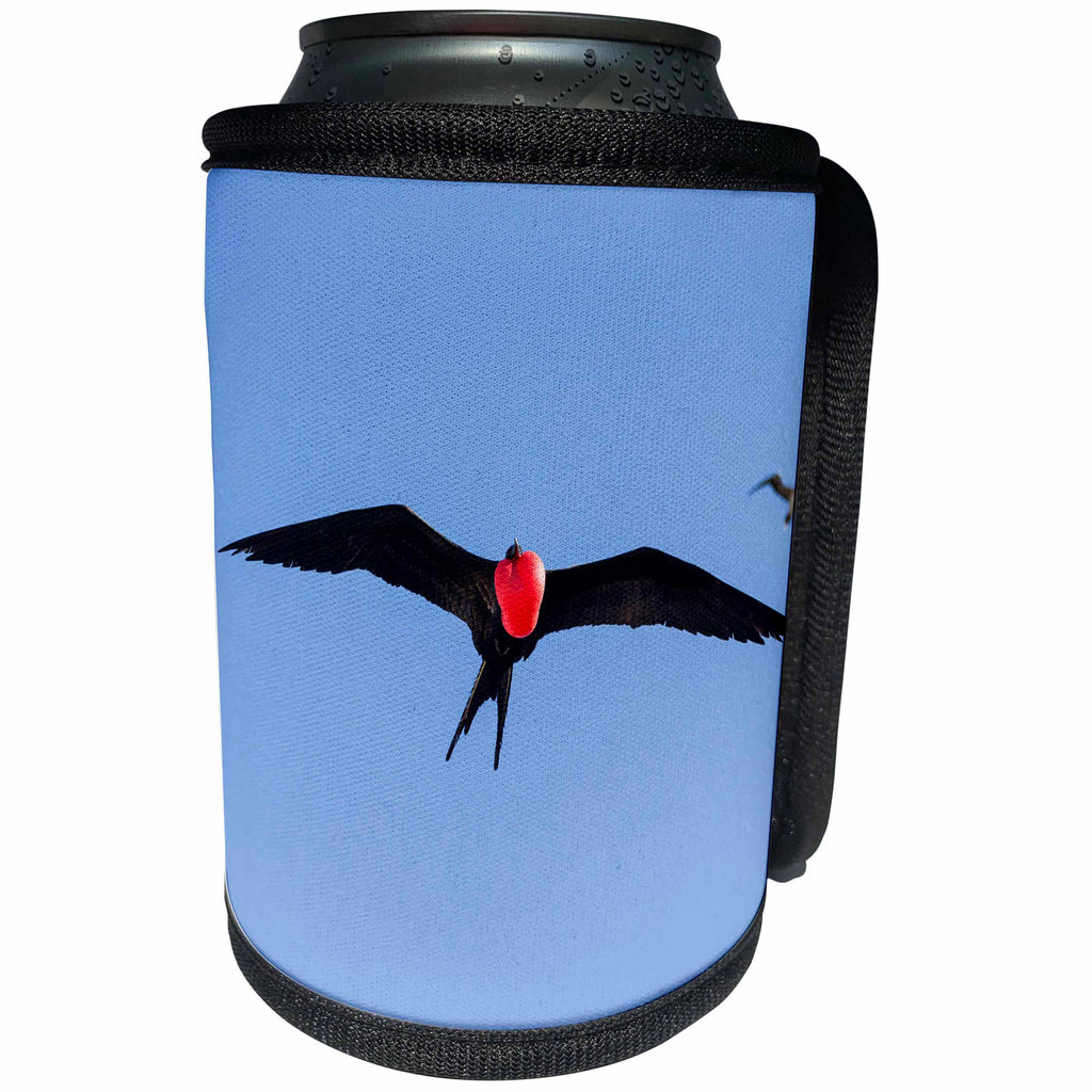 3dRose Ecuador, Galapagos, Genovesa, Male Great frigatebird in... - Can Cooler Bottle Wrap (cc_258394)