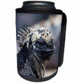 3dRose Danita Delimont - Reptiles - Ecuador, Galapagos, Punta Espinoza. Marine iguana head portrait. - Can Cooler Bottle Wrap (cc_258400)