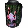 3dRose Danita Delimont - Birds - Ecuador, Galapagos, Punta Moreno, Two greater flamingos in a sinkhole. - Can Cooler Bottle Wrap (cc_258402)
