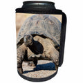3dRose Danita Delimont - Reptiles - Ecuador, Galapagos, Urvina Bay, Galapagos giant tortoise walking. - Can Cooler Bottle Wrap (cc_258405)