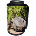 3dRose Danita Delimont - Reptiles - Ecuador, Galapagos, Isabela, Urvina Bay, Galapagos giant tortoise. - Can Cooler Bottle Wrap (cc_258406)