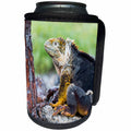 3dRose Danita Delimont - Reptiles - Ecuador, Galapagos Islands, Plaza Sur, Male land iguana. - Can Cooler Bottle Wrap (cc_258408)