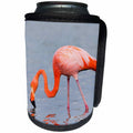 3dRose Danita Delimont - Birds - Ecuador, Galapagos, Floreana, Punta Cormoran, greater flamingo feeding - Can Cooler Bottle Wrap (cc_258413)