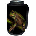 3dRose Danita Delimont - Frogs - Silver Marsupial Frog at the base of Chimborazo Volcano, Ecuador - Can Cooler Bottle Wrap (cc_258426)