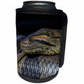 3dRose Danita Delimont - Snakes - Anaconda, Eunectes murinus, Guyana. - Can Cooler Bottle Wrap (cc_258442)