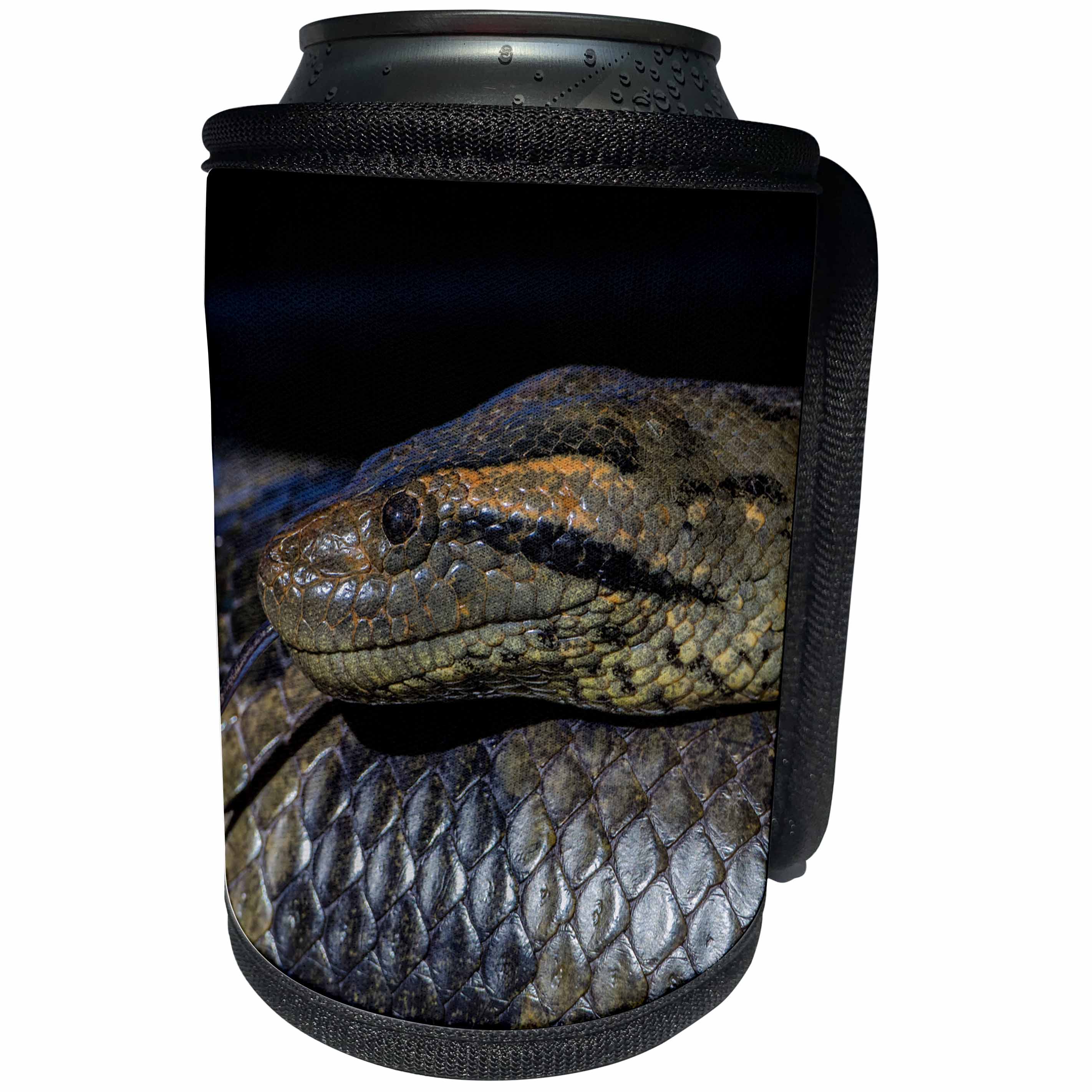 3dRose Danita Delimont - Snakes - Anaconda, Eunectes murinus, Guyana. - Can Cooler Bottle Wrap (cc_258442)