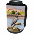3dRose Danita Delimont - Birds - Mexico, Baja California Sur, Sea of Cortez, Loreto Bay. Brown Pelican. - Can Cooler Bottle Wrap (cc_258516)