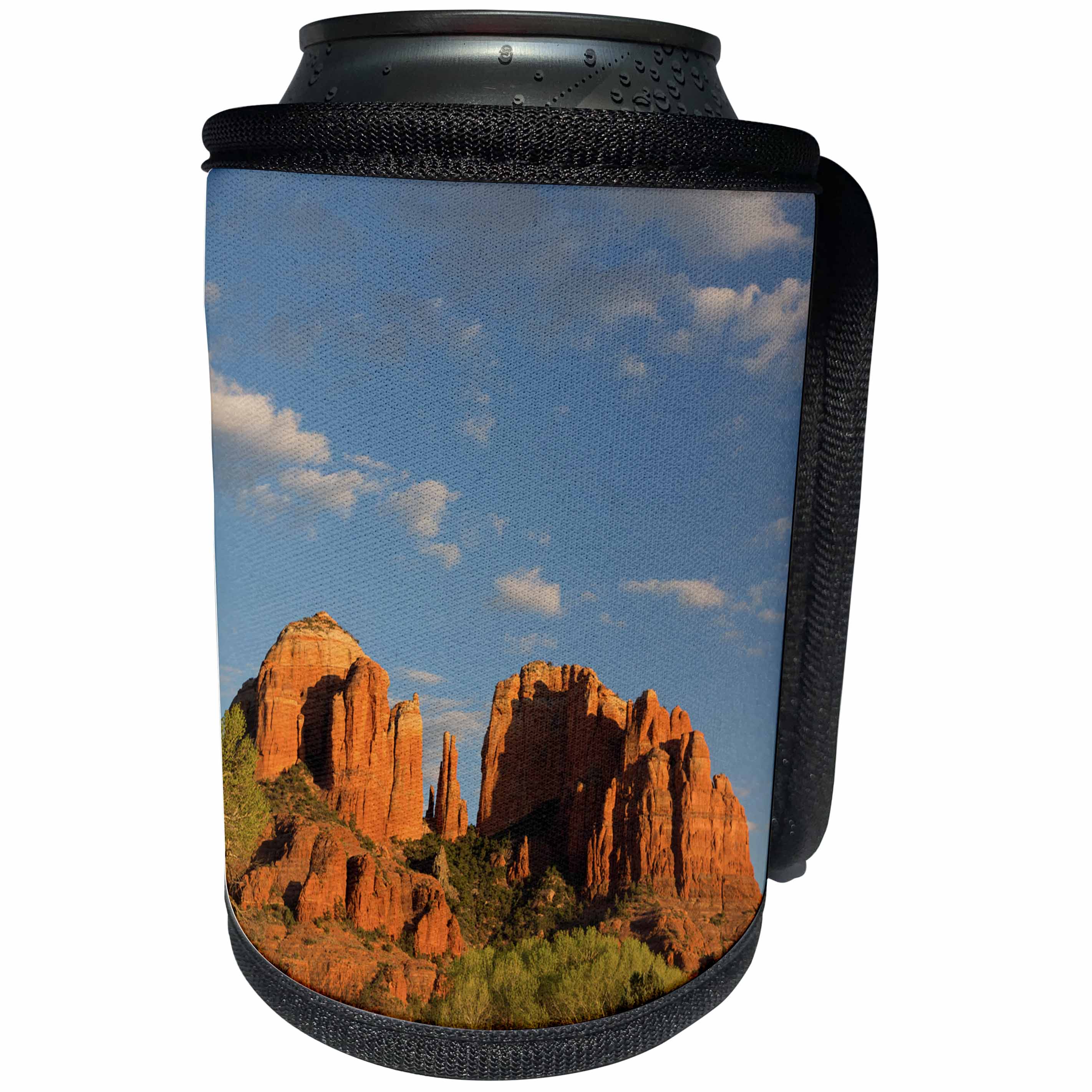 3dRose Danita Delimont - Deserts - Arizona, Sedona, Crescent Moon Area, Red Rock Crossing, Cathedral Rock - Can Cooler Bottle Wrap (cc_258715)