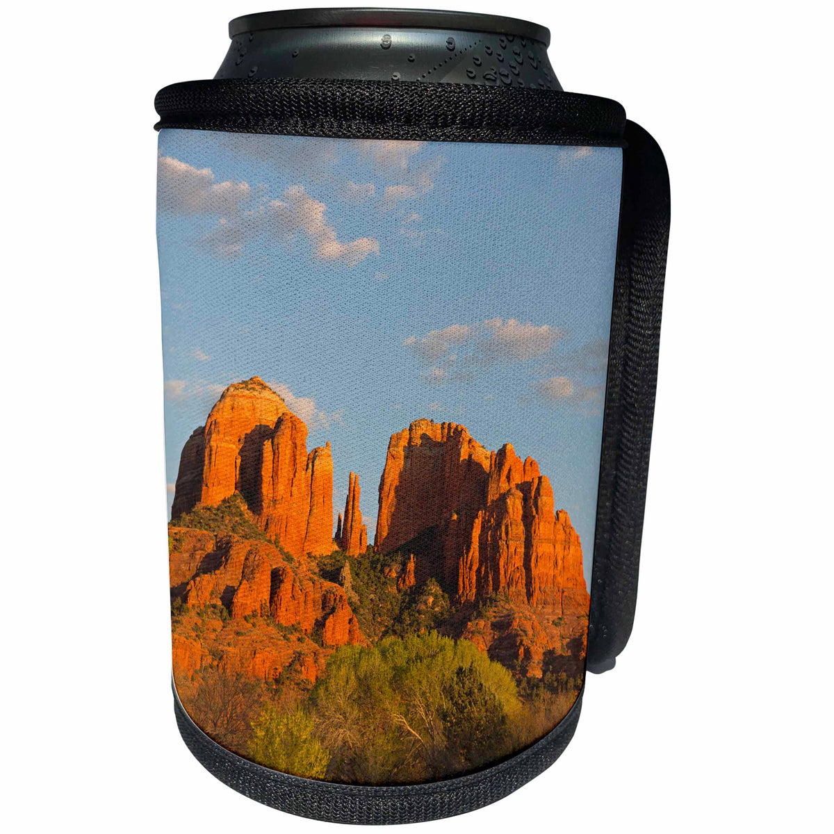 3dRose Danita Delimont - Arizona - Arizona, Sedona, Red Rock Crossing, Cathedral Rock - Can Cooler Bottle Wrap (cc_258716)