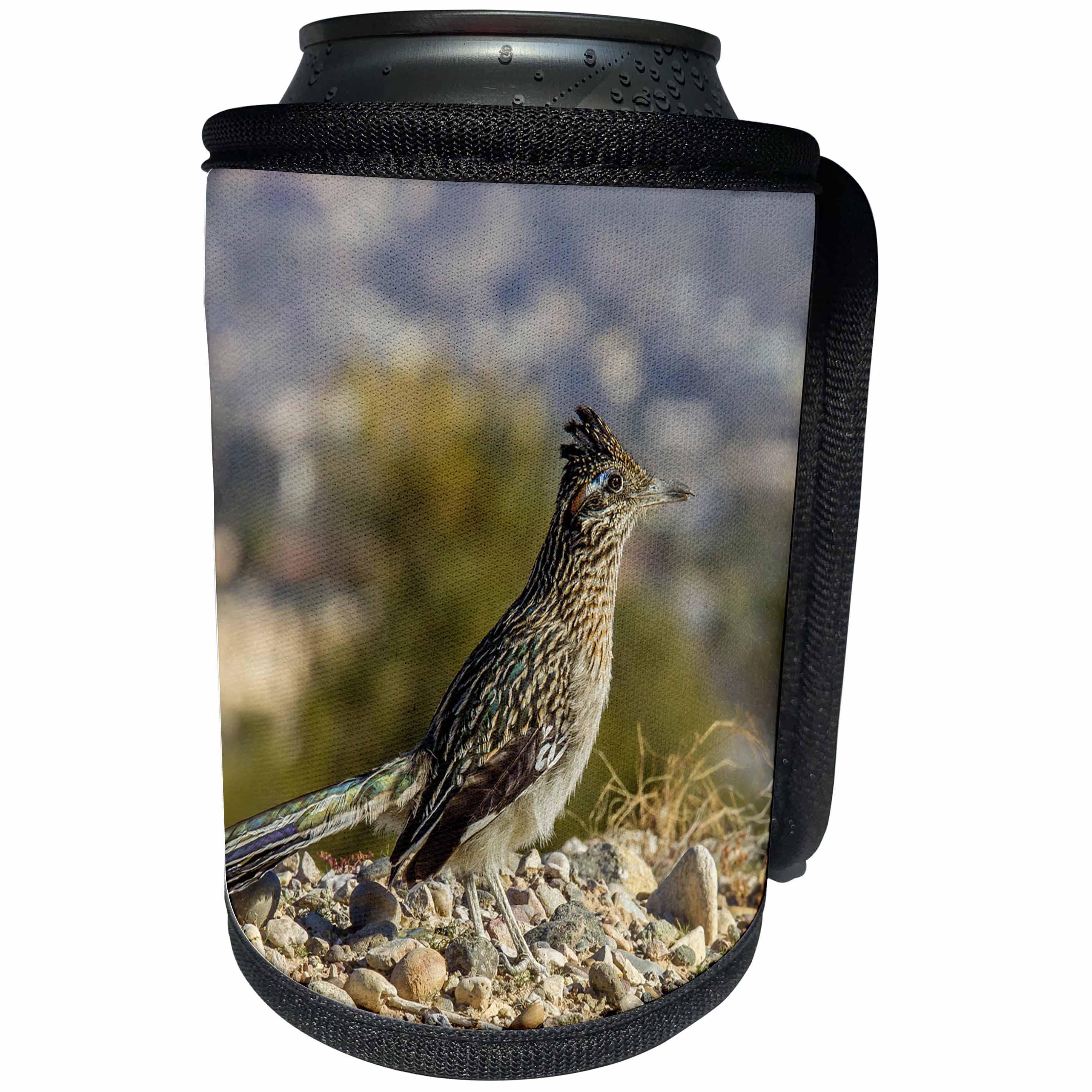 3dRose Danita Delimont - Birds - Greater Road Runner on Lake Havasu Island - Can Cooler Bottle Wrap (cc_258741)