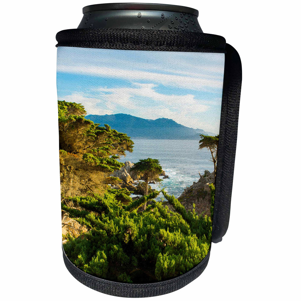 3dRose Danita Delimont - Coastlines - California, Looking out across the ocean with Elm cypress trees. - Can Cooler Bottle Wrap (cc_258798)