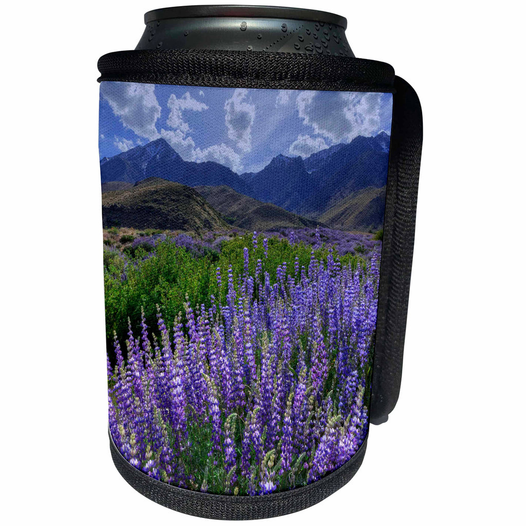3dRose Danita Delimont - flowers - California, Inyo bush lupine blooms in the Sierra Nevada Mountains. - Can Cooler Bottle Wrap (cc_258803)
