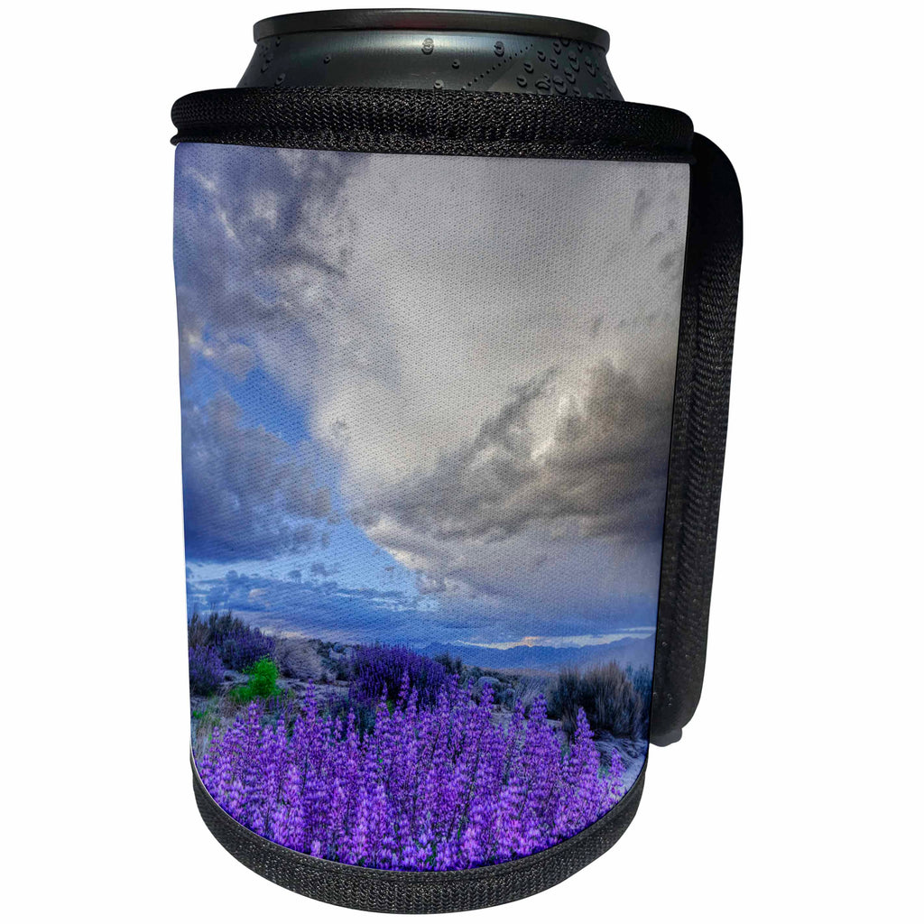 3dRose Danita Delimont - Flowers - USA, California, Sierra Nevada Mountains. Inyo bush lupine blooming. - Can Cooler Bottle Wrap (cc_258807)