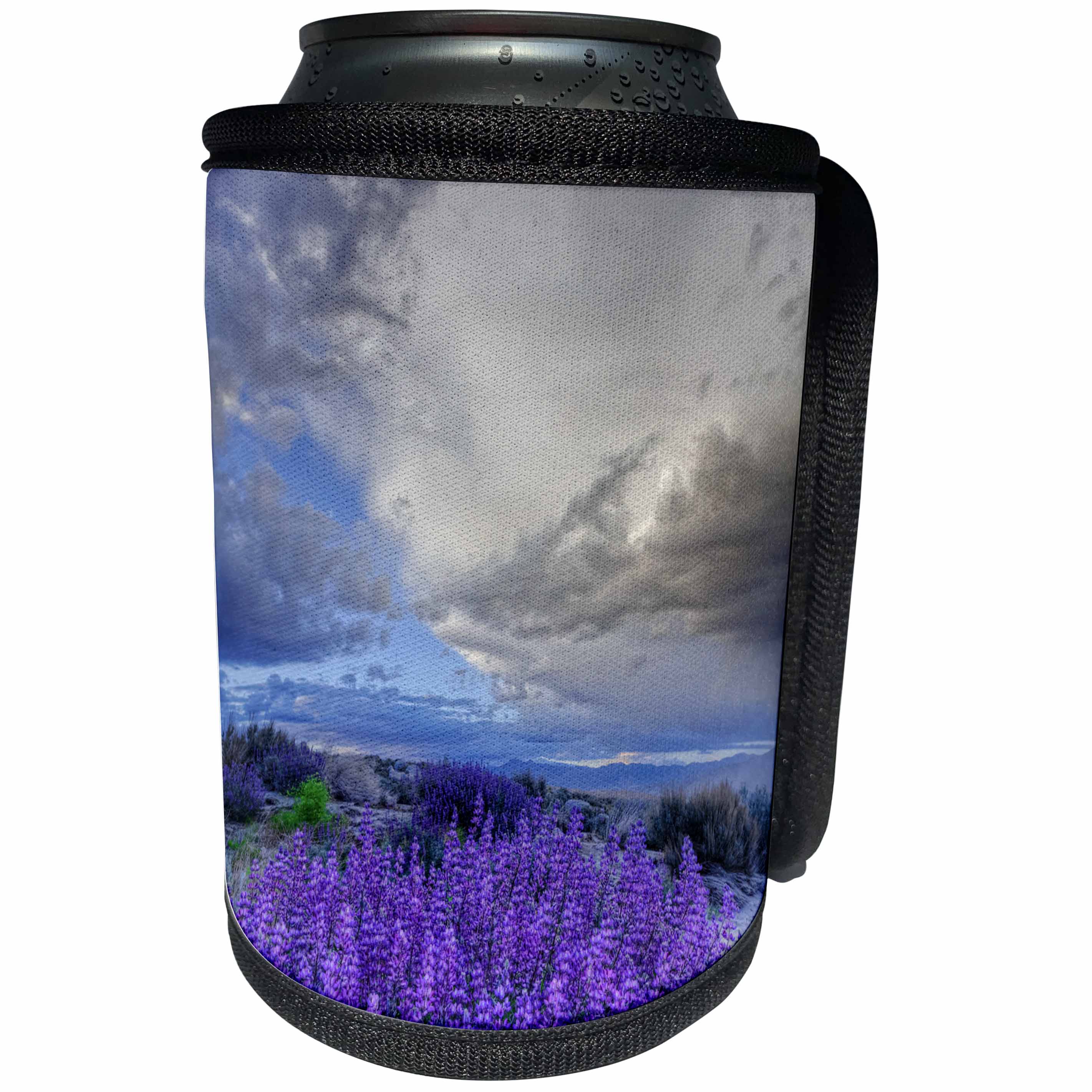 3dRose Danita Delimont - Flowers - USA, California, Sierra Nevada Mountains. Inyo bush lupine blooming. - Can Cooler Bottle Wrap (cc_258807)