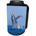 3dRose Danita Delimont - Whales - USA, California, La Jolla. Humpback whale jumping - Can Cooler Bottle Wrap (cc_258823)