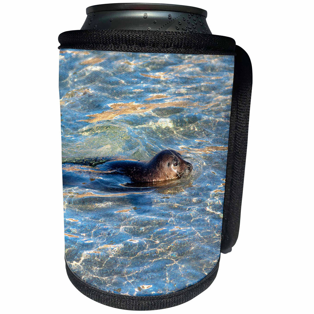 3dRose Danita Delimont - Seals - USA, California, La Jolla. Baby harbor seal in water. - Can Cooler Bottle Wrap (cc_258830)