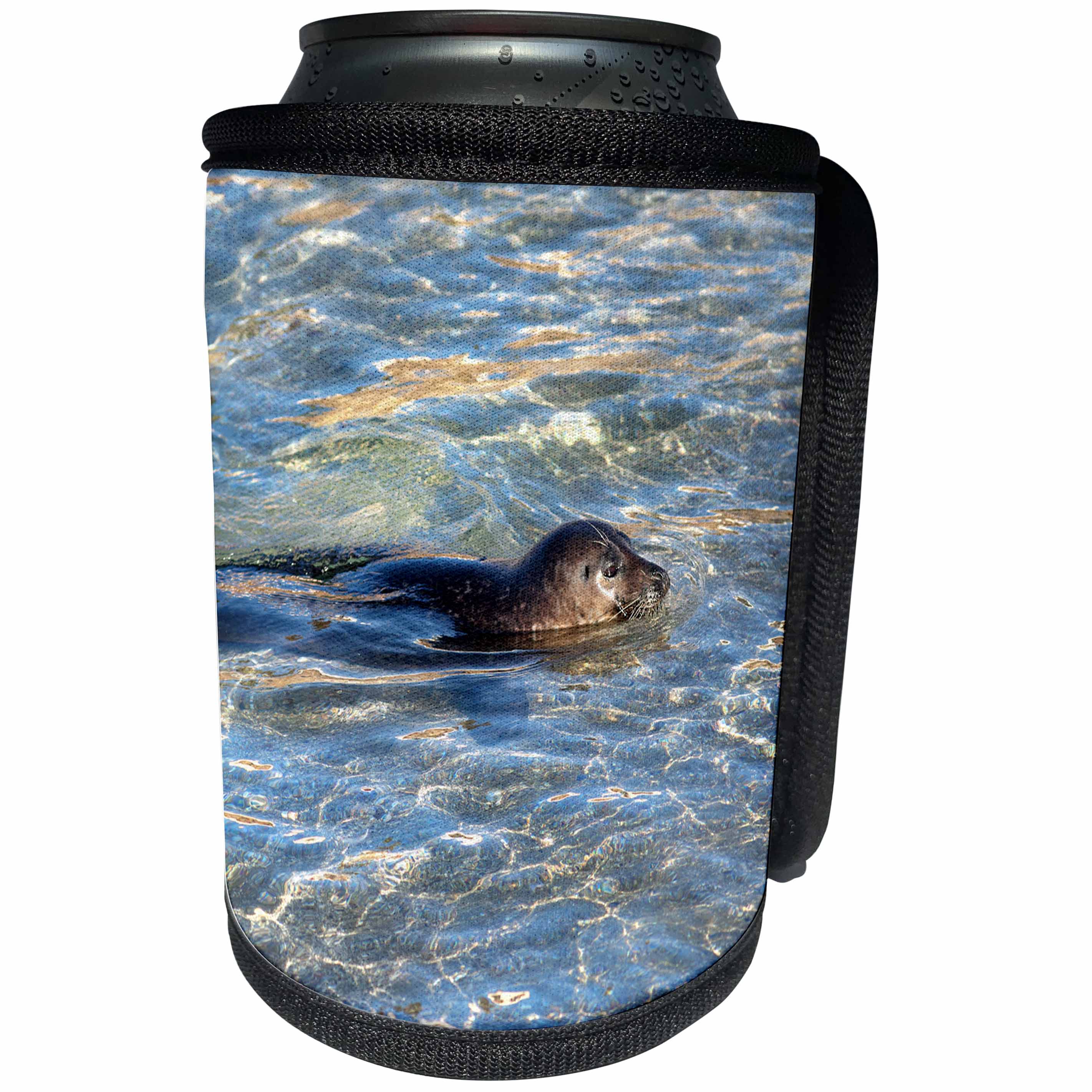 3dRose Danita Delimont - Seals - USA, California, La Jolla. Baby harbor seal in water. - Can Cooler Bottle Wrap (cc_258830)
