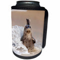 3dRose Danita Delimont - Seals - USA, California, La Jolla. Baby harbor seal with wave crashing - Can Cooler Bottle Wrap (cc_258835)