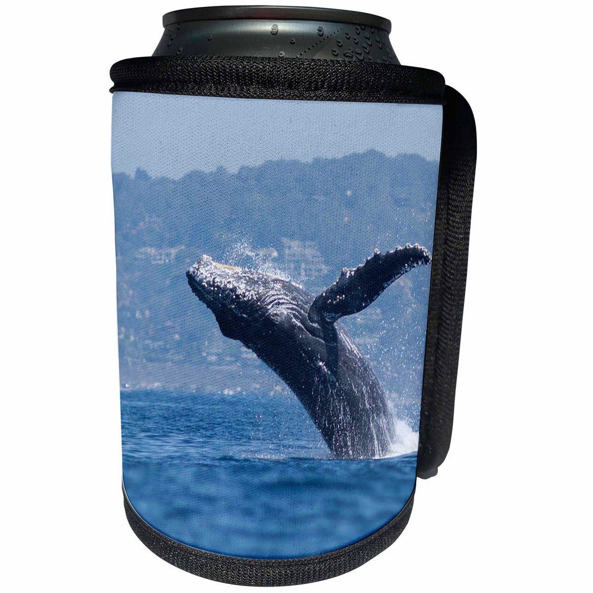 3dRose Danita Delimont - Whales - USA, California, La Jolla. Humpback whale jumps from the water - Can Cooler Bottle Wrap (cc_258837)