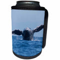 3dRose Danita Delimont - Whales - USA, California, La Jolla. Humpback whale breaching - Can Cooler Bottle Wrap (cc_258838)