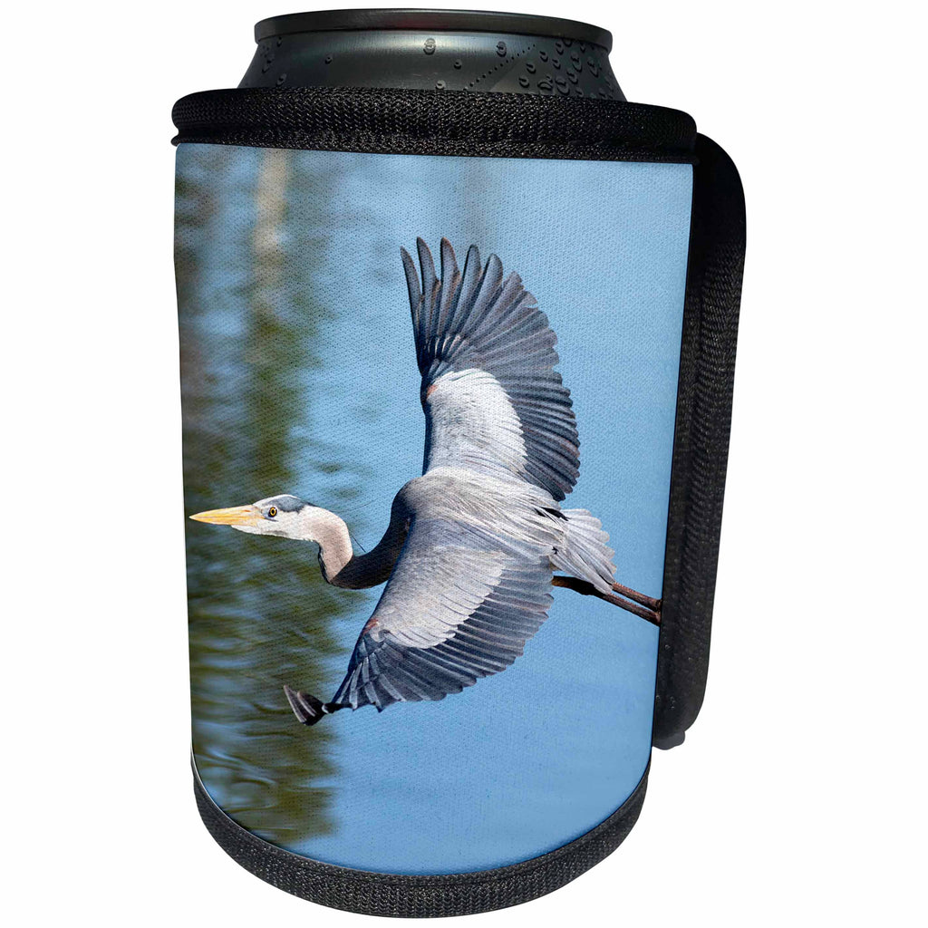 3dRose Danita Delimont - Birds - USA, California. Great blue heron flying over lake. - Can Cooler Bottle Wrap (cc_258842)