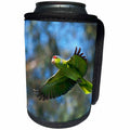 3dRose Danita Delimont - Parrots - USA, California, San Diego. Wild parrot in flight. - Can Cooler Bottle Wrap (cc_258843)