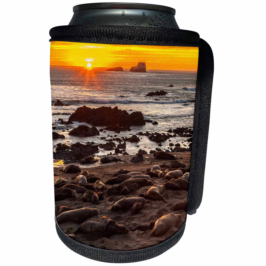 3dRose Danita Delimont - seals - California, Piedras Blancas. Northern elephant seals at sunset. - Can Cooler Bottle Wrap (cc_258844)
