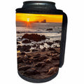 3dRose Danita Delimont - seals - California, Piedras Blancas. Northern elephant seals at sunset. - Can Cooler Bottle Wrap (cc_258844)