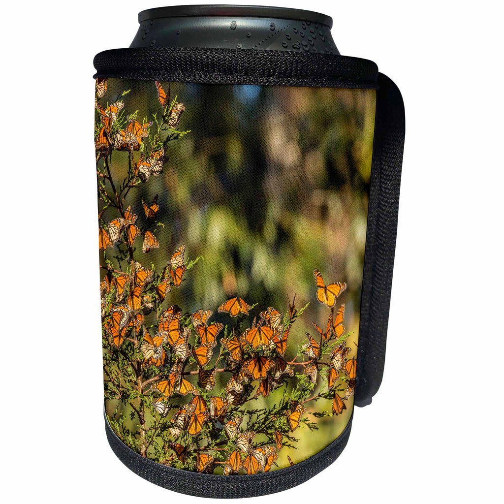3dRose Danita Delimont - Butterflies - California, Pismo Beach. Monarch butterflies clustering in winter sun. - Can Cooler Bottle Wrap (cc_258846)