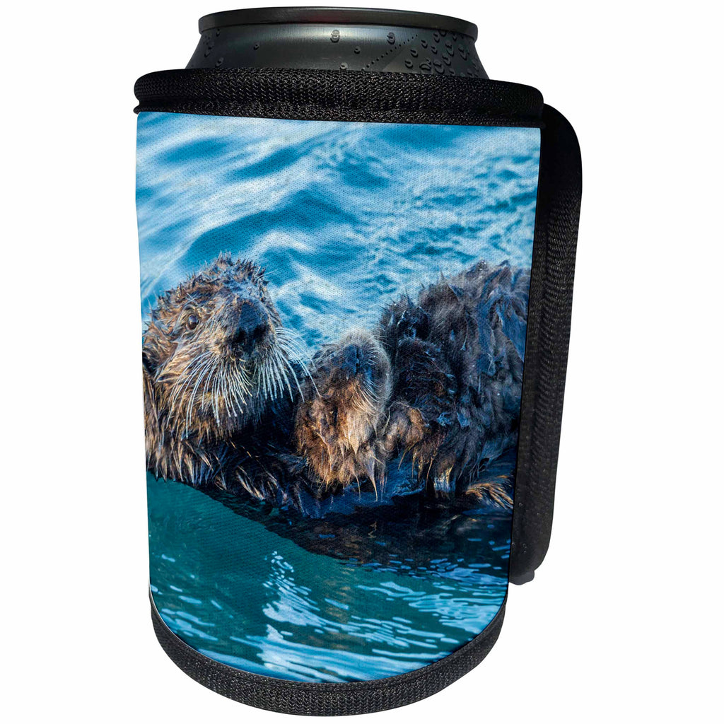 3dRose Danita Delimont - Otters - USA, California, Morro Bay. Sea otter parent and pup. - Can Cooler Bottle Wrap (cc_258851)