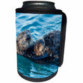 3dRose Danita Delimont - Otters - USA, California, Morro Bay. Sea otter parent and pup. - Can Cooler Bottle Wrap (cc_258851)