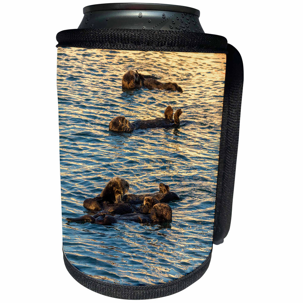 3dRose Danita Delimont - Otters - USA, California, Morro Bay. Sea otters resting as a group. - Can Cooler Bottle Wrap (cc_258852)