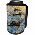 3dRose Danita Delimont - Otters - USA, California, Morro Bay. Sea otters resting as a group. - Can Cooler Bottle Wrap (cc_258852)