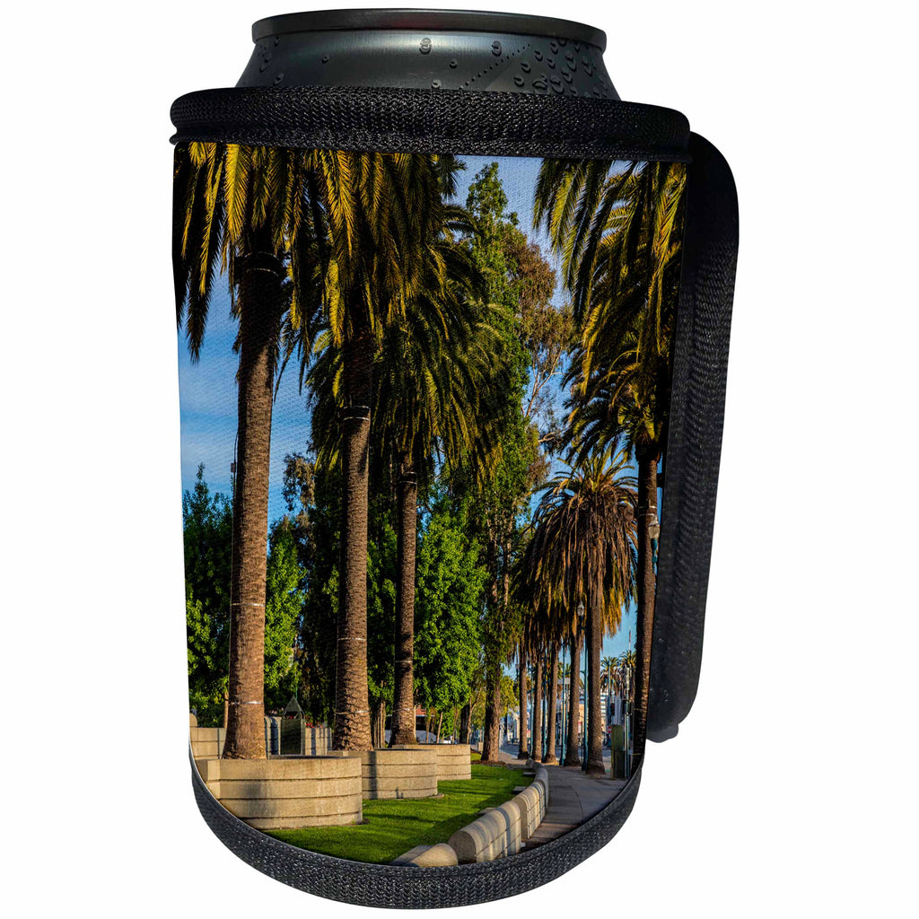 3dRose Danita Delimont - Cities - Palm trees along the Embarcadero, San Francisco, California, USA - Can Cooler Bottle Wrap (cc_258855)