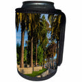 3dRose Danita Delimont - Cities - Palm trees along the Embarcadero, San Francisco, California, USA - Can Cooler Bottle Wrap (cc_258855)
