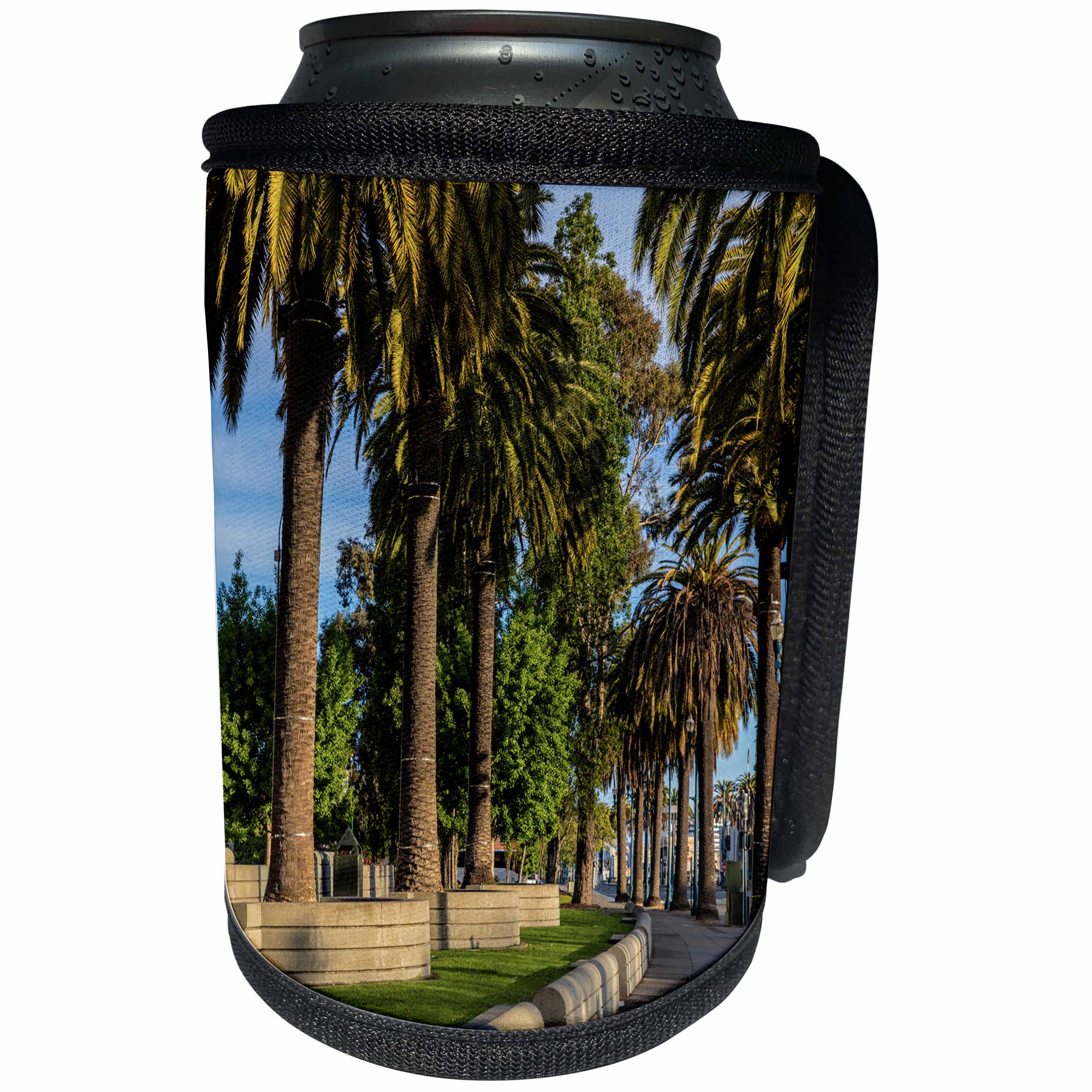 3dRose Danita Delimont - Cities - Palm trees along the Embarcadero, San Francisco, California, USA - Can Cooler Bottle Wrap (cc_258855)