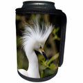 3dRose Danita Delimont - Birds - Nesting snowy egrets on Alcatraz Island, San Francisco, California - Can Cooler Bottle Wrap (cc_258861)
